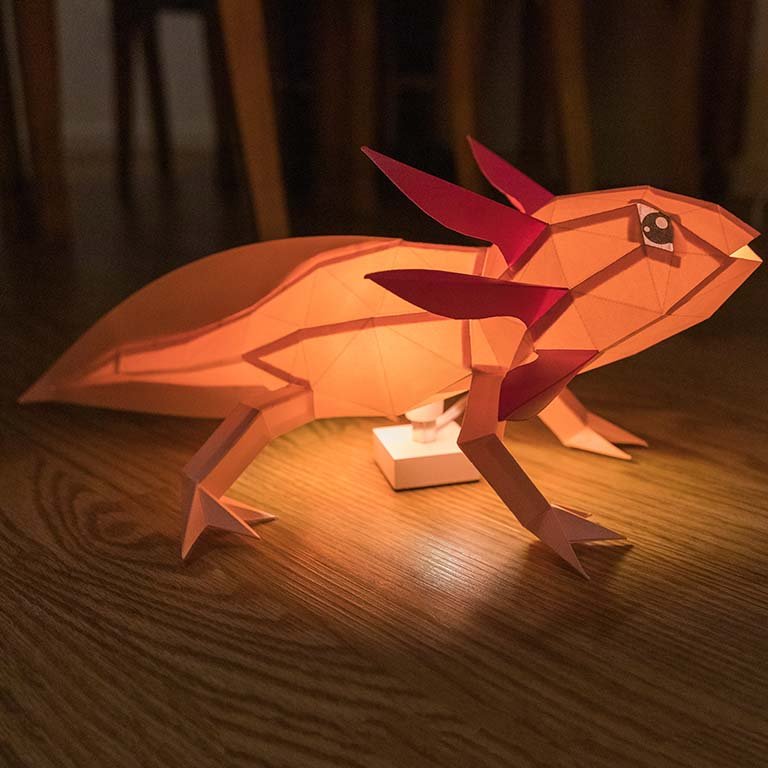 Axolotl Papercraft 3D Model